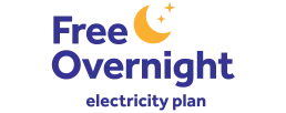 Free Overnight plan logo
