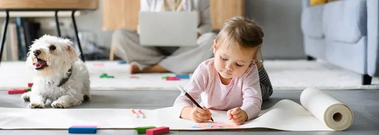 Electricity plans in Friendswood, Texas
