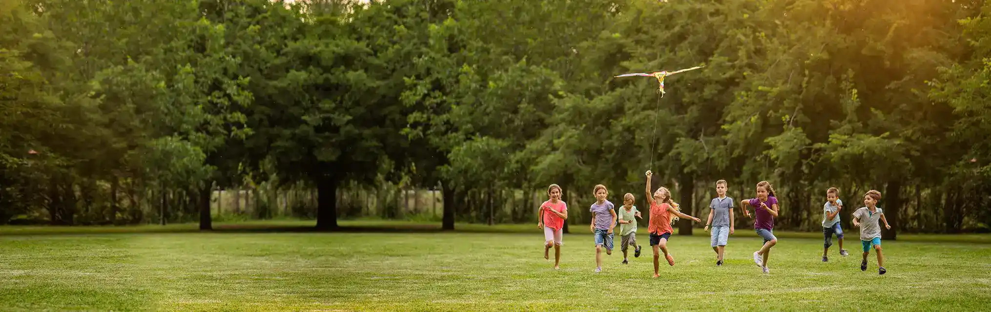 Electricity plans in Katy, Texas