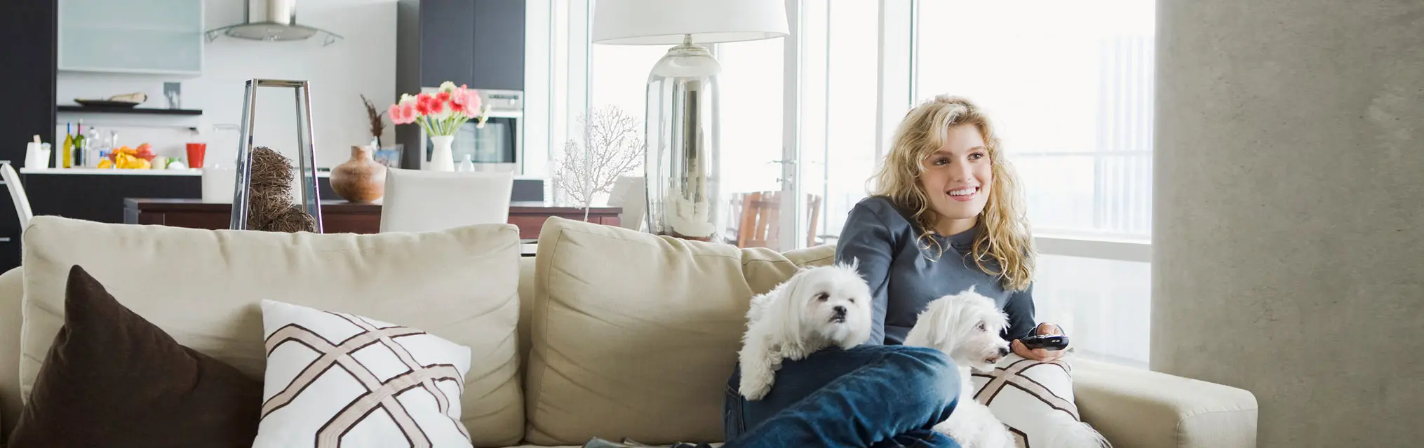 Electricity plans in Addison, Texas
