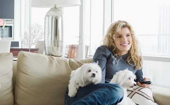 Electricity plans in Addison, Texas
