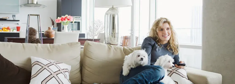 Electricity plans in Addison, Texas
