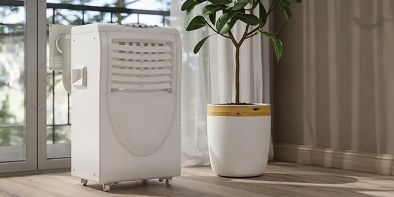 Portable AC in the living room