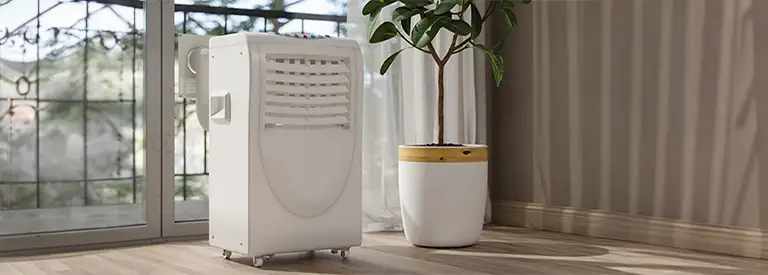 Portable AC in the living room