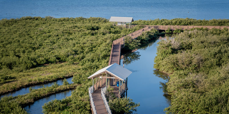 Discover the charm of the Rio Grande Valley 
