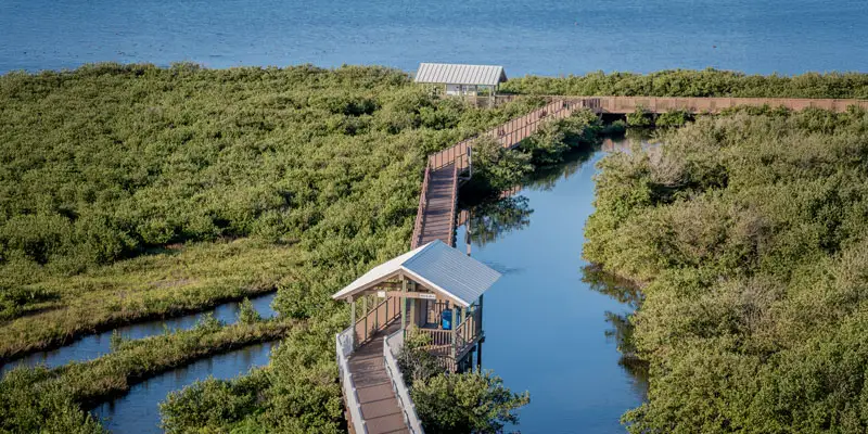 Descubre el encanto del Rio Grande Valley 
