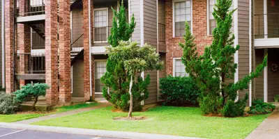 Property manager forms
