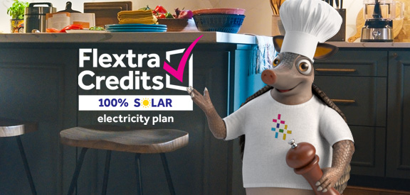 Serving up 2 FREE electricity days every week, plus $200 in bill credits
