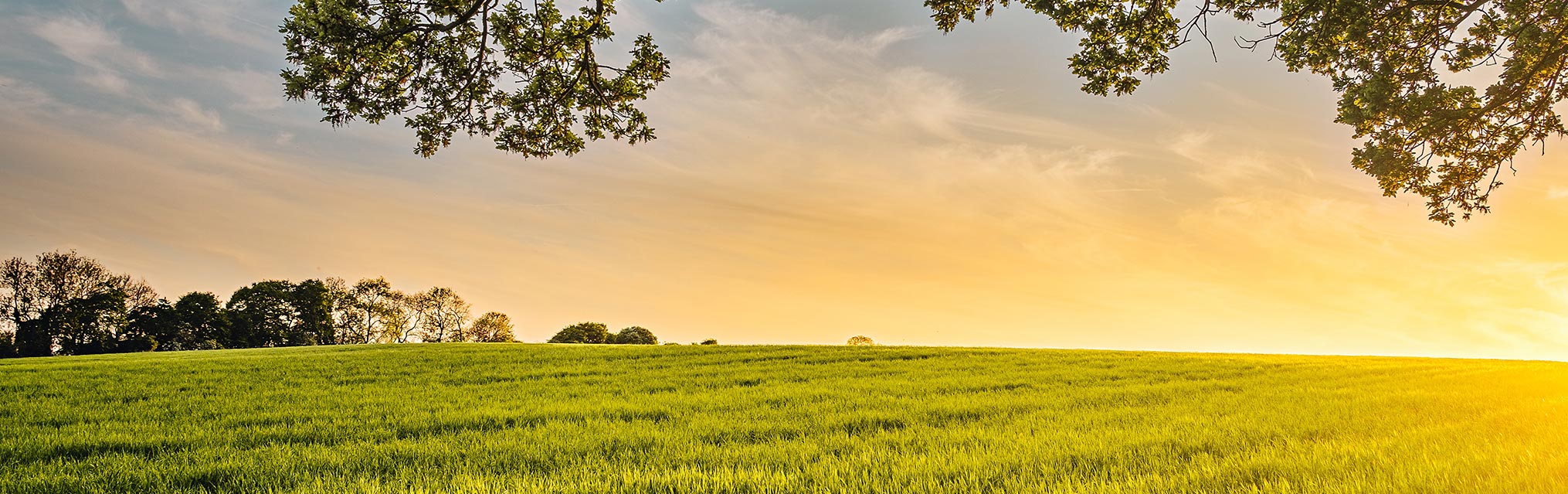 Reduce tu huella ecológica con EcoShare
