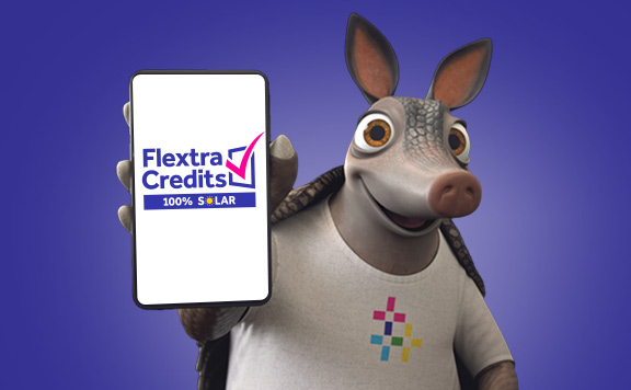Flextra Credits 100% Solar
