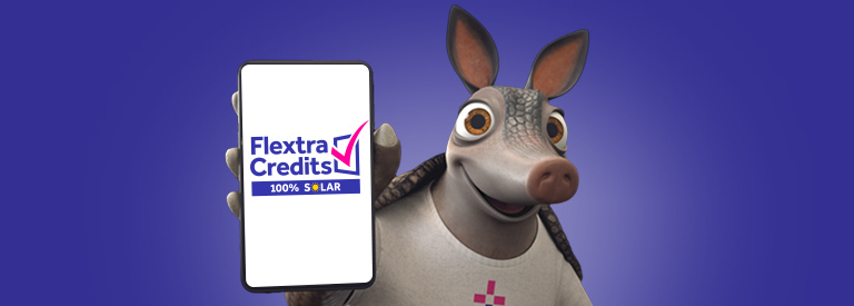 Flextra Credits 100% Solar
