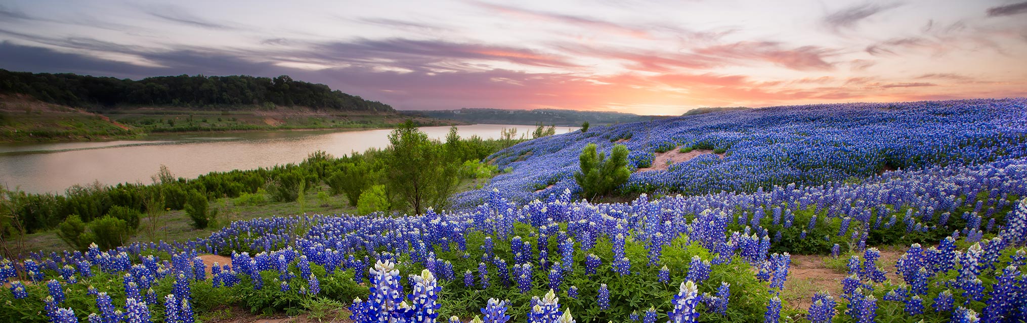 Cómo presupuestar para tu factura de electricidad en Texas
