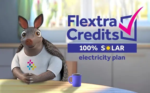 FREE electricity when you use it most
