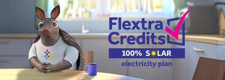 FREE electricity when you use it most
