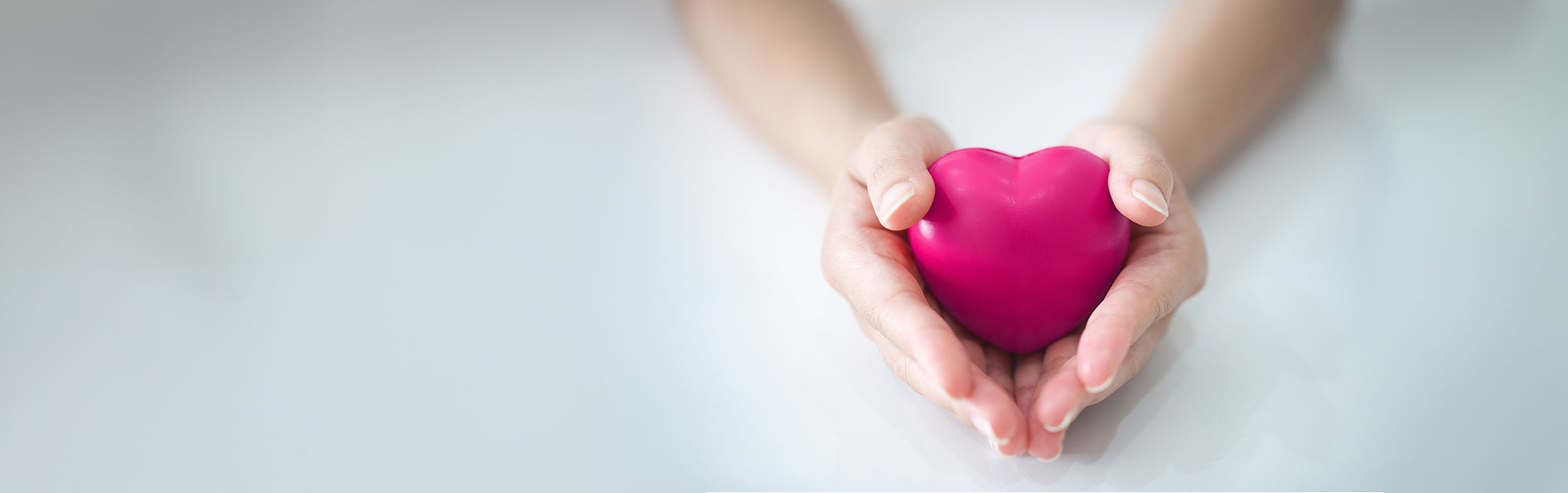 Apoya las organizaciones caritativas de Texas con Choose to Give
