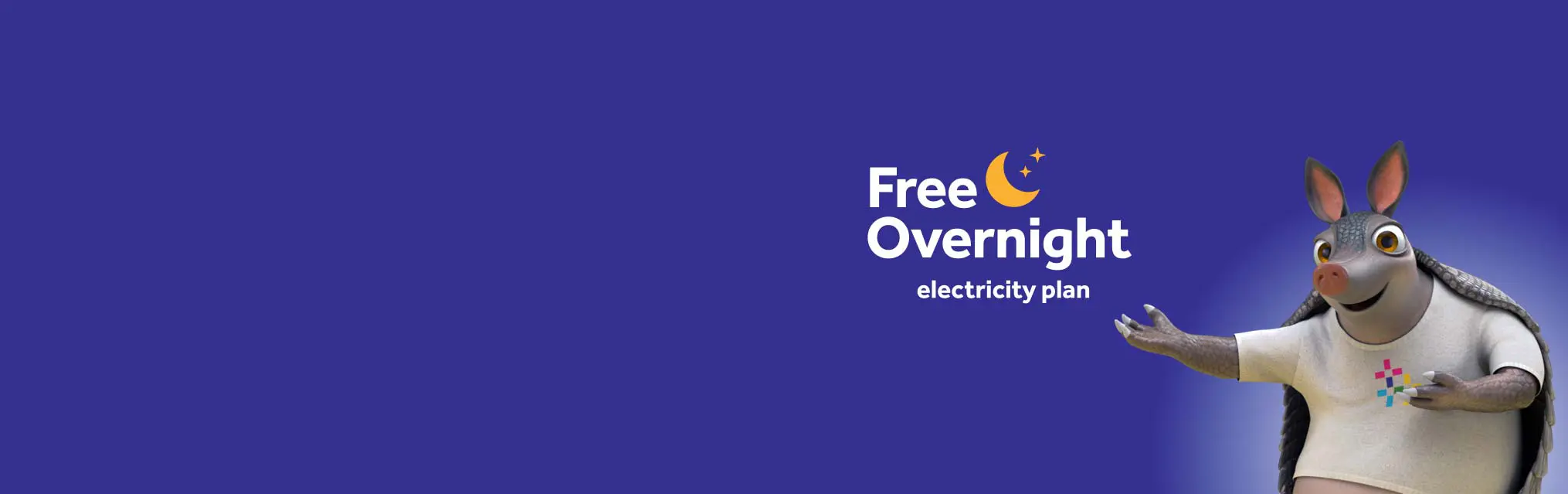 Reliant Free Overnight plan
