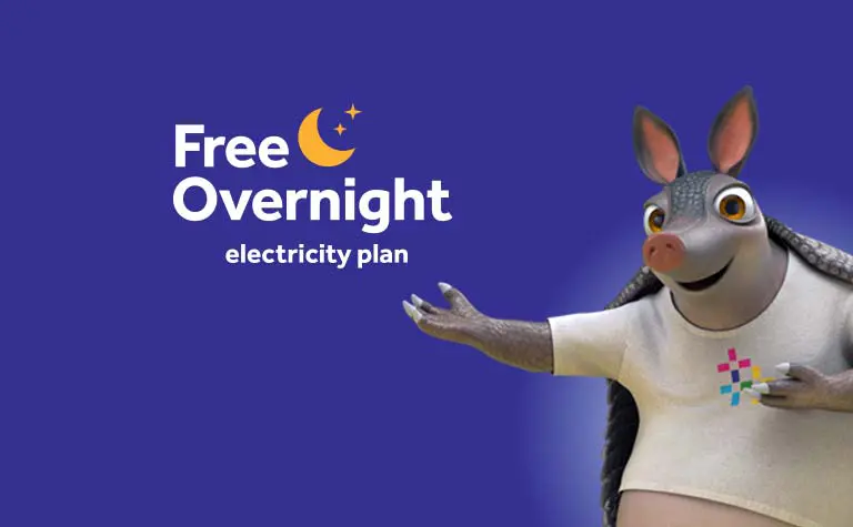 Reliant Free Overnight plan
