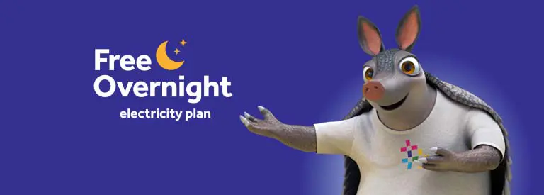Reliant Free Overnight plan
