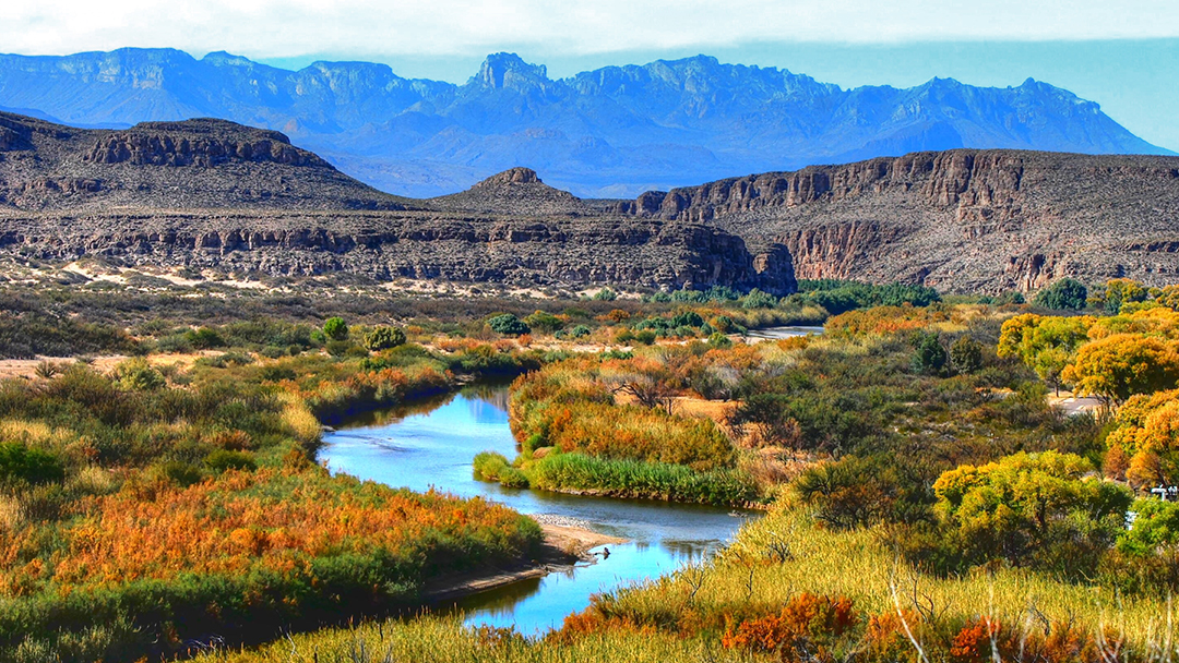 Protect what makes Texas beautiful with Reliant EcoShareSM
