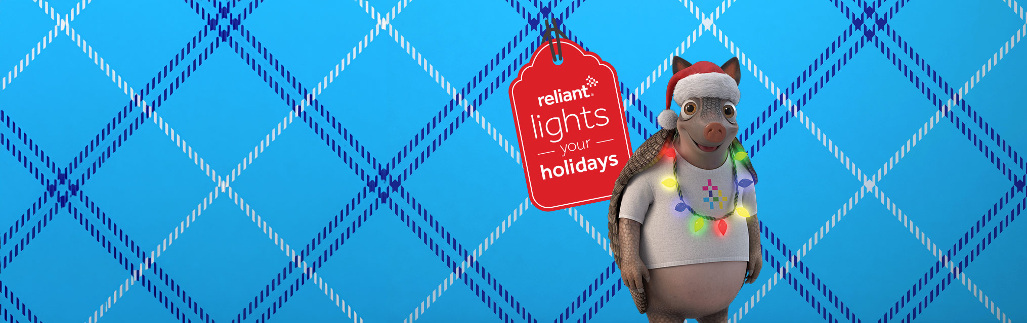 Reliant lights your holidays
