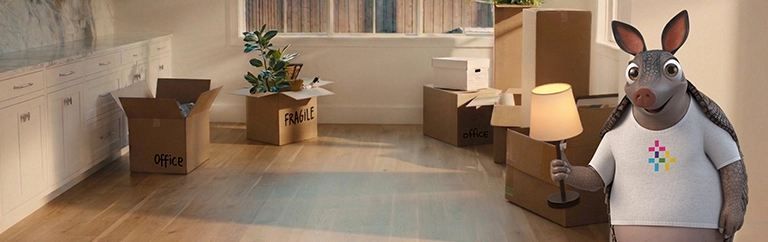 Affordable energy plans that fit your budget
