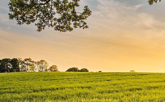 Reduce tu huella ecológica con EcoShare
