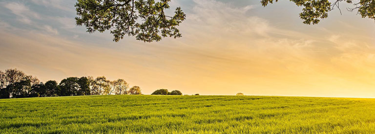 Reduce tu huella ecológica con EcoShare
