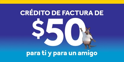 Programa de Referencias
