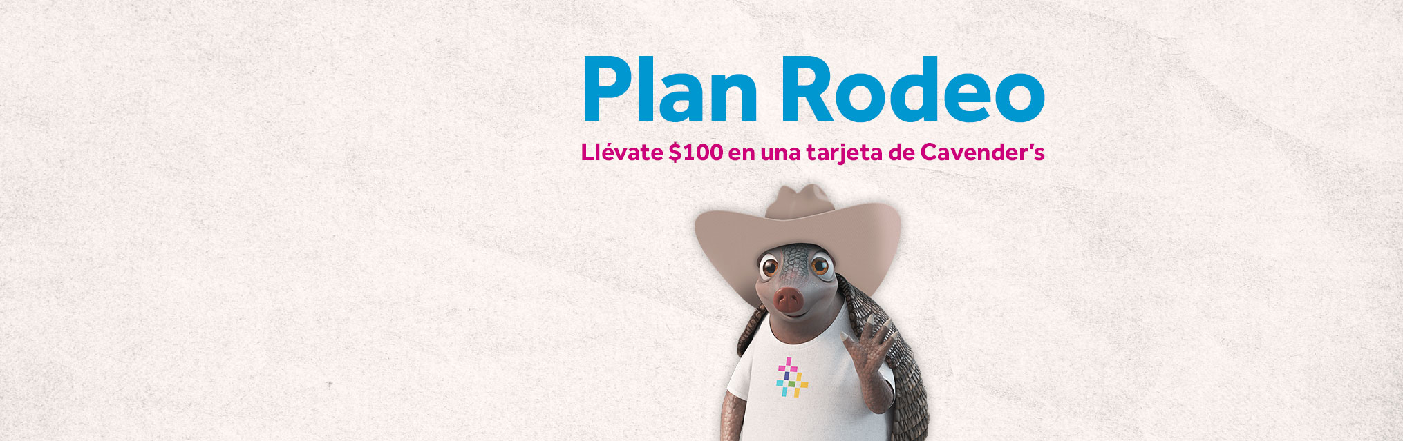 Energizamos los días de rodeo de Texas
