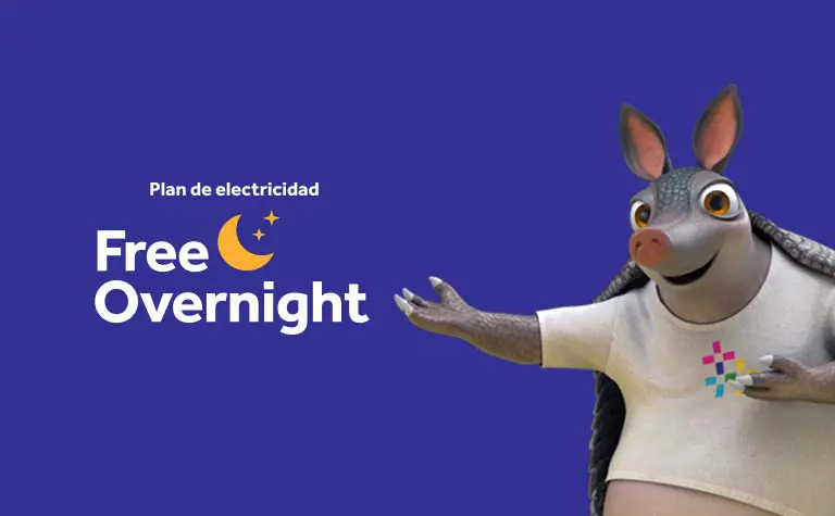 Plan Reliant Free Overnight
