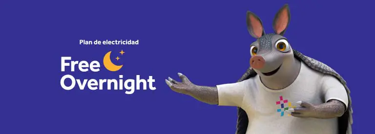 Plan Reliant Free Overnight
