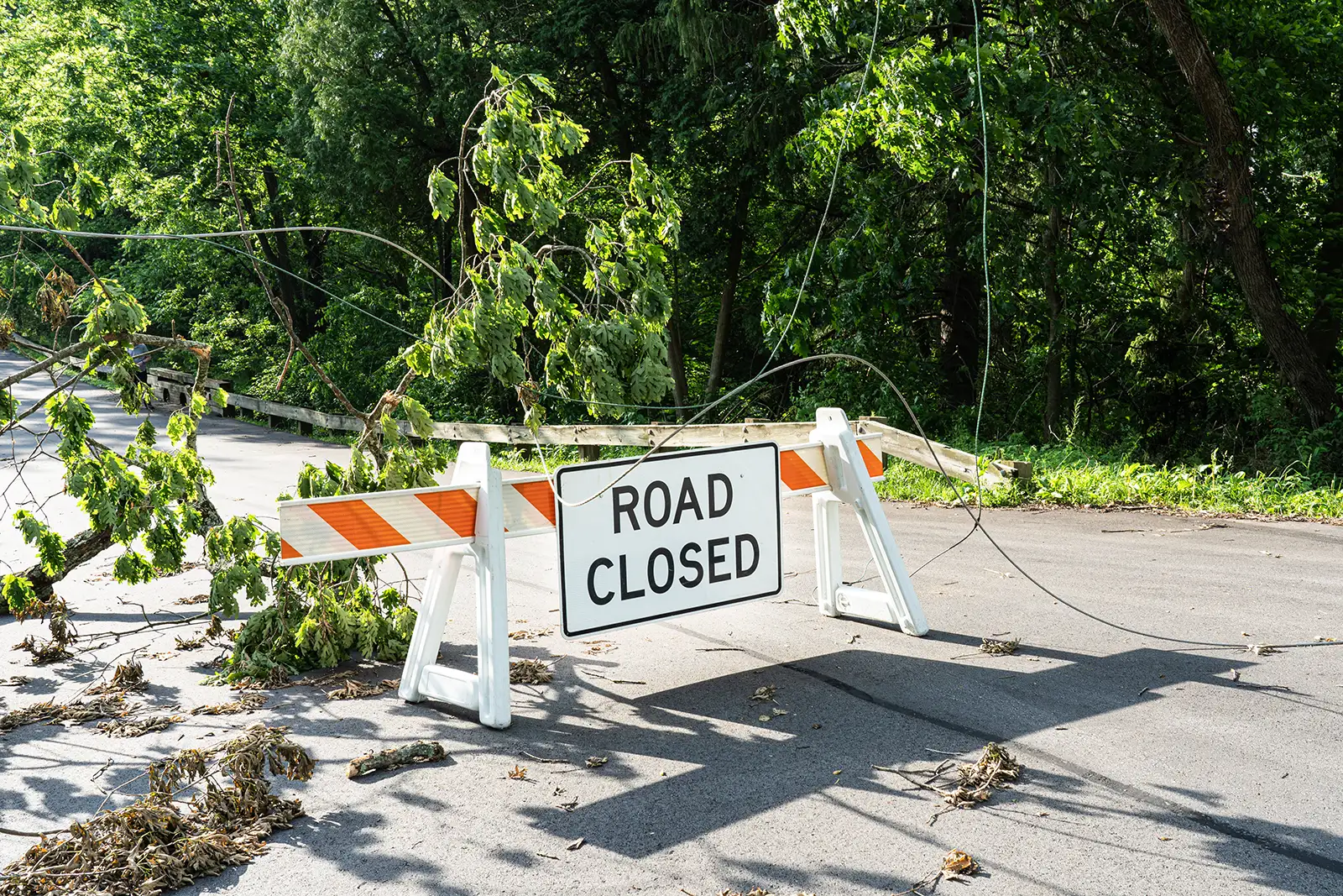 A "ROAD CLOSED" sign placed in a road, surrounded by downed tree debris