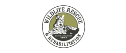 Wildlife-Rescue-Rehabilitation