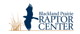 Blackland-Prairie-Raptor-Center